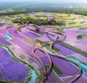 諾獅簽約“中國共青花世界”和“特色小吃商業(yè)古街”旅游策劃規(guī)劃設計并完成項目考察