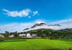 【禪修養(yǎng)生】“司”享一回，思念一生——您不得不關(guān)注的禪茶大觀園