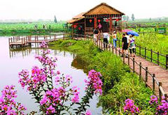 【休閑農(nóng)業(yè)】農(nóng)業(yè)部聯(lián)手國家旅游局推進(jìn)休閑農(nóng)業(yè)發(fā)展
